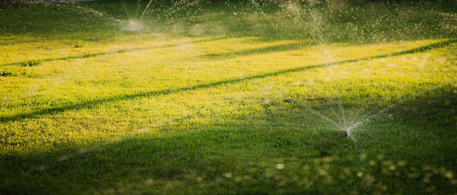Pop-up sprinkler arc watering a green lawn at dusk in the Houston suburbs.